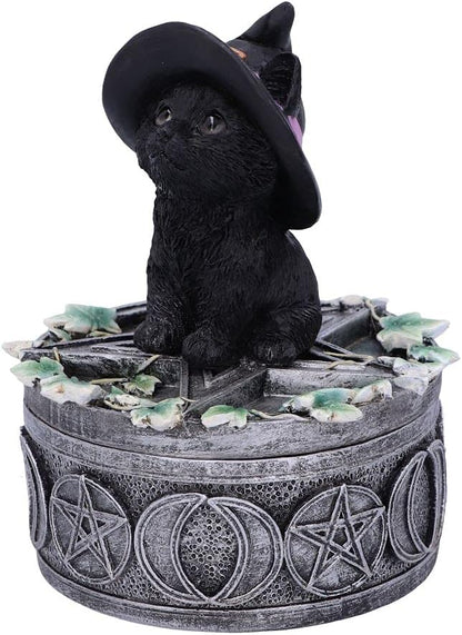 Nemesis Now Ivy Familiar Box Cat Figurine 15cm, Resin, Black