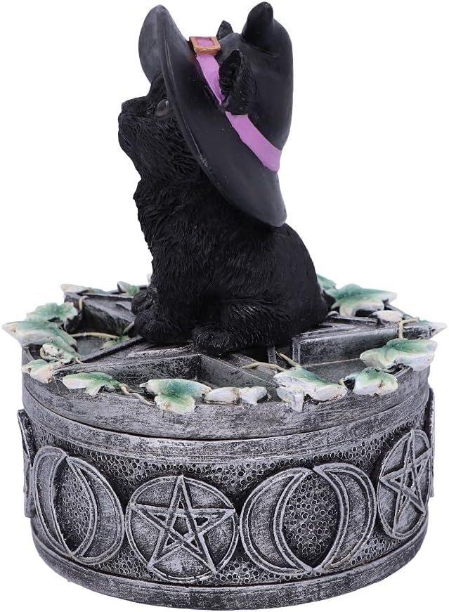 Nemesis Now Ivy Familiar Box Cat Figurine 15cm, Resin, Black