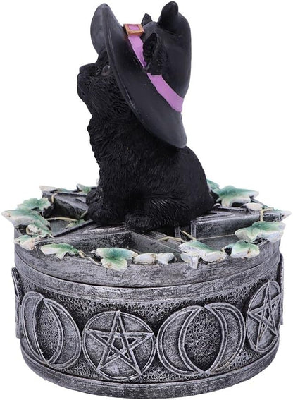 Nemesis Now Ivy Familiar Box Cat Figurine 15cm, Resin, Black