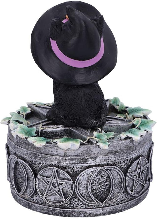 Nemesis Now Ivy Familiar Box Cat Figurine 15cm, Resin, Black