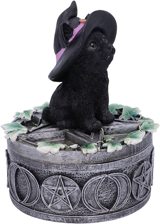 Nemesis Now Ivy Familiar Box Cat Figurine 15cm, Resin, Black