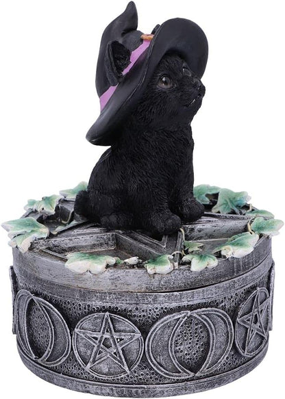 Nemesis Now Ivy Familiar Box Cat Figurine 15cm, Resin, Black