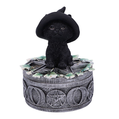 Nemesis Now Ivy Familiar Box Cat Figurine 15cm, Resin, Black