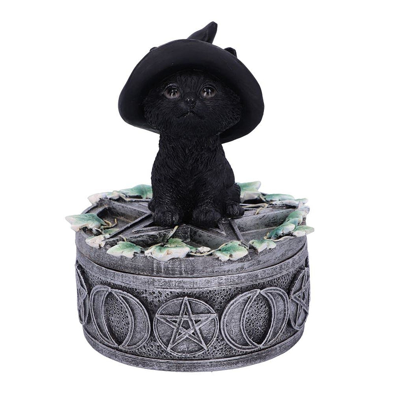 Nemesis Now Ivy Familiar Box Cat Figurine 15cm, Resin, Black
