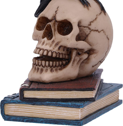 Nemesis Now Raven's Spell 10.3cm, Black
