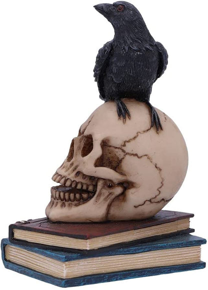Nemesis Now Raven's Spell 10.3cm, Black