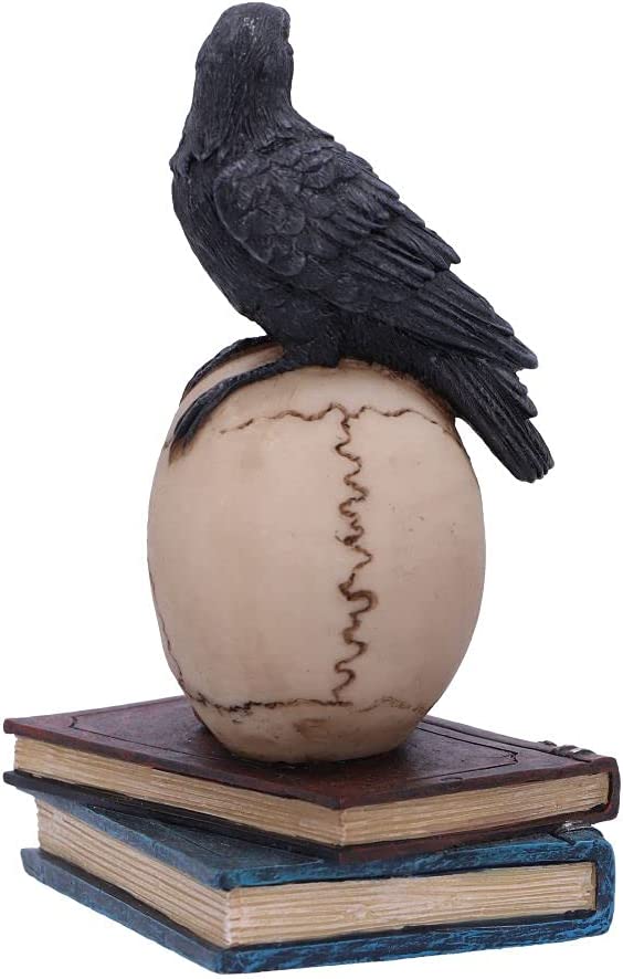 Nemesis Now Raven's Spell 10.3cm, Black