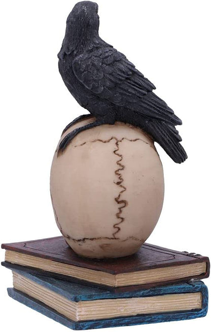 Nemesis Now Raven's Spell 10.3cm, Black