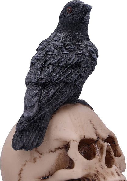 Nemesis Now Raven's Spell 10.3cm, Black