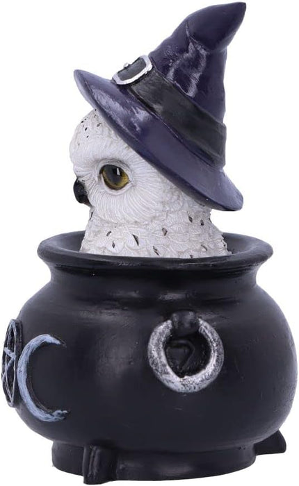 Nemesis Now Owl's Brew 10cm, Black