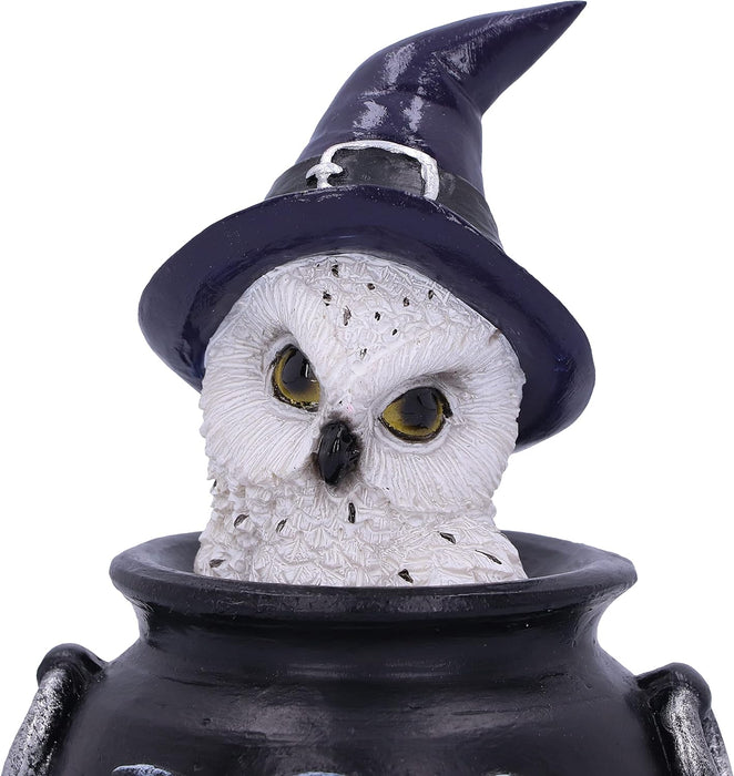 Nemesis Now Owl's Brew 10cm, Black
