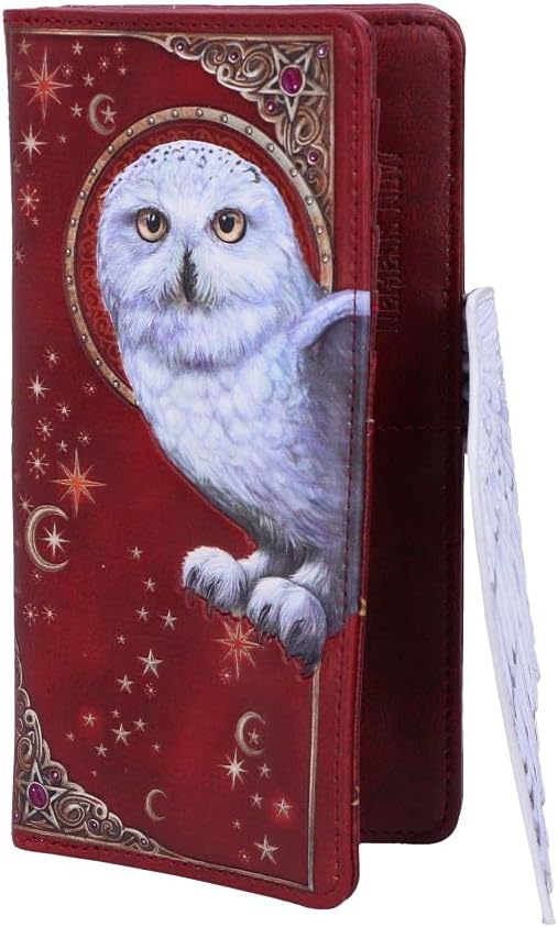 Nemesis Now Magical Flight Embossed Purse 18.5cm, Red