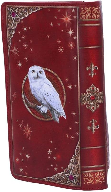 Nemesis Now Magical Flight Embossed Purse 18.5cm, Red