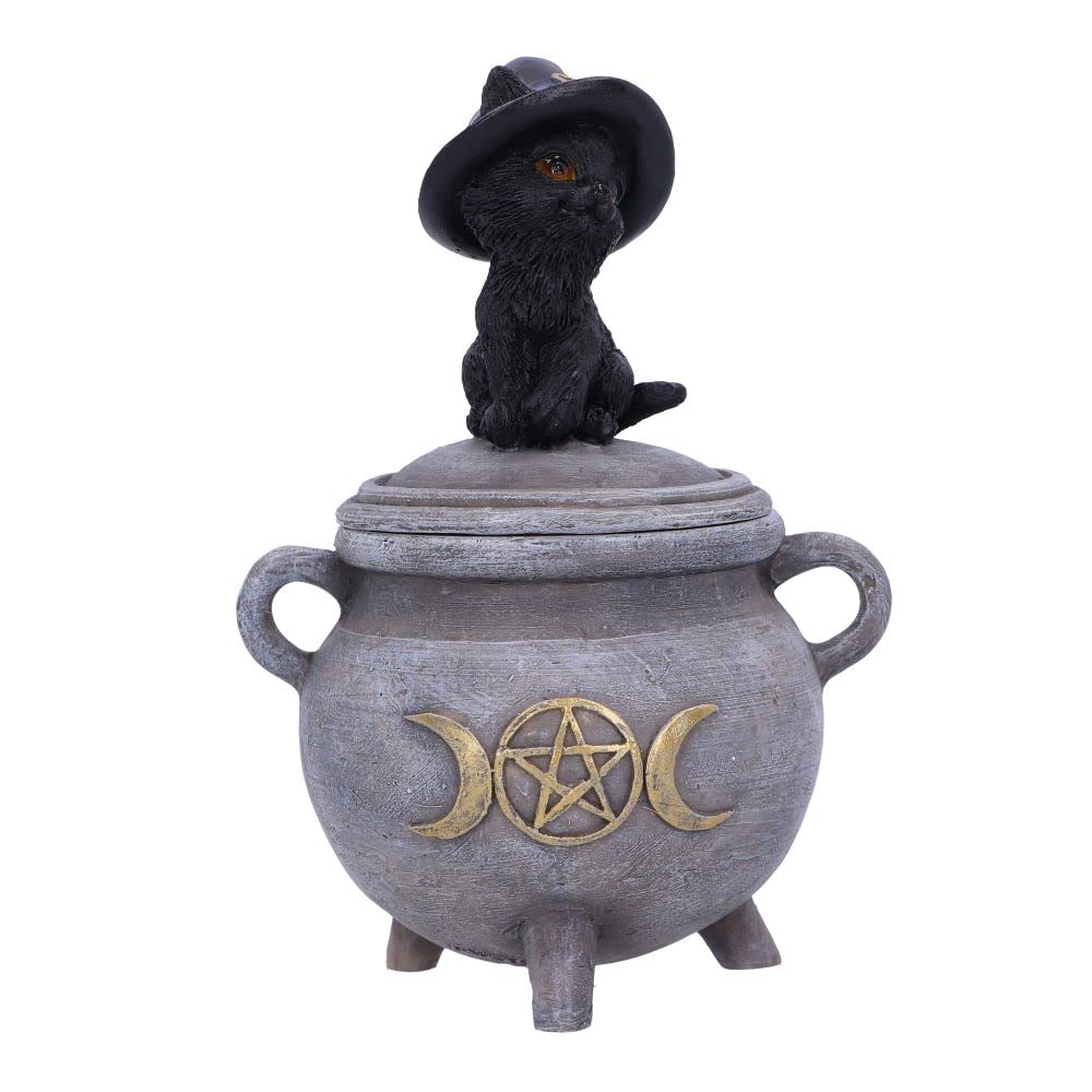 Nemesis Now Kitty's Brew 14cm, Gris