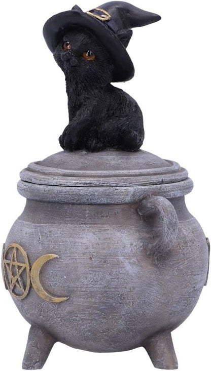 Nemesis Now Kitty's Brew 14cm, Gris