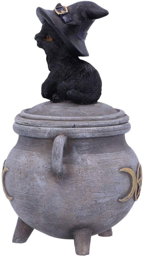 Nemesis Now Kitty's Brew 14cm, Gris