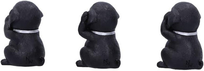 Nemesis Now Three Wise Labrador, nero, 8,5 cm, B5881V2