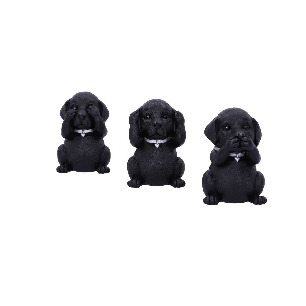 Nemesis Now Three Wise Labrador, nero, 8,5 cm, B5881V2