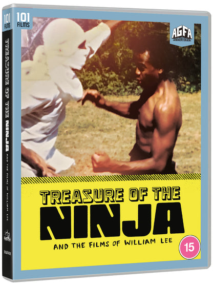 Treasure of the Ninja