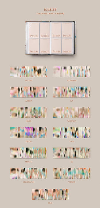 Face The Sun (Carat Version