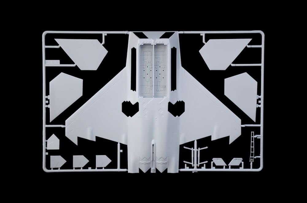 Italeri -2822 F-22A Raptor, 1:48 Scale, Model Kit, Plastic Modeling, Grey Color, IT2822