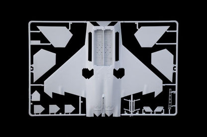 Italeri -2822 F-22A Raptor, 1:48 Scale, Model Kit, Plastic Modeling, Grey Color, IT2822