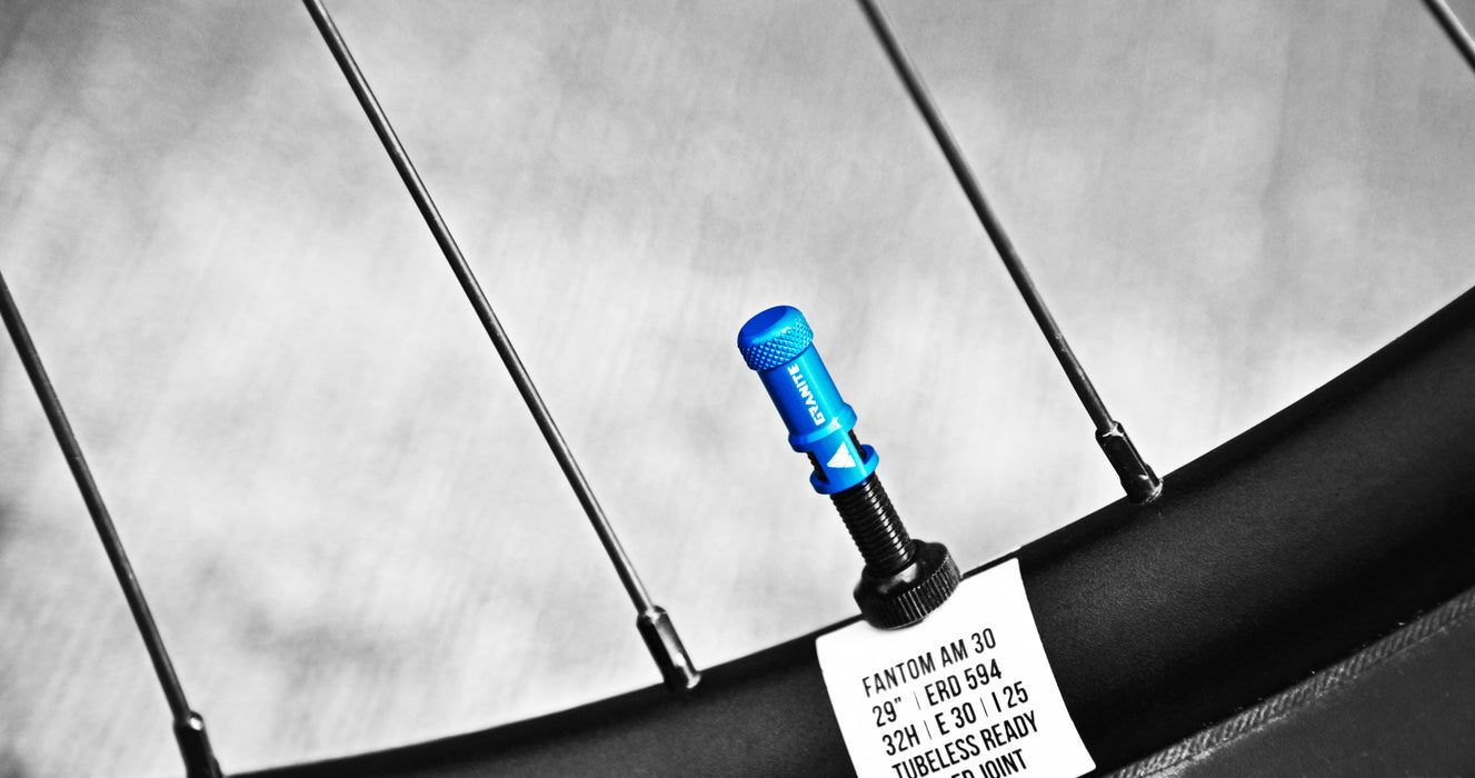 Granite Juicy Nipple Valve Cap with Valve Core Removing Function, Easy to Use Bike Tyre Caps Dust Covers, Durable Alloy Tyre Valve Cap (Gold