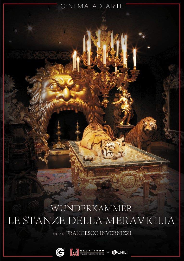 Wow-La Stanza Delle Meraviglie