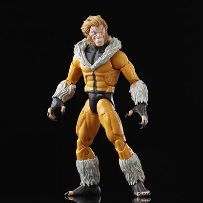 Hasbro Marvel Legends Series X-Men Sabretooth Action Figure 15cm Collectible Toy, 3 Build-A-Figure Part