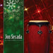 Christmas Fiesta