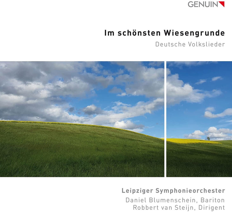 Im Schönsten Wiesengrunde: Deutsche Volkslieder
