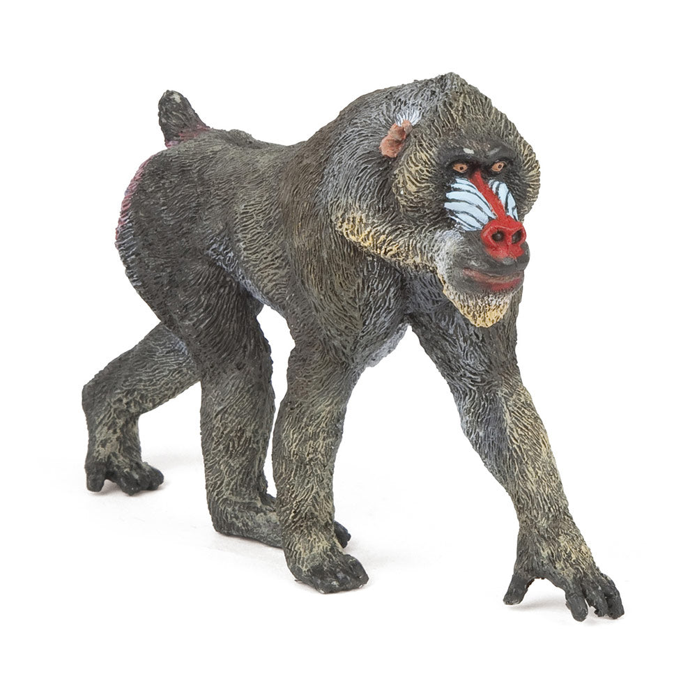 PAPO Wild Animal Kingdom Mandrill Toy Figure, Multi-colour (50121)