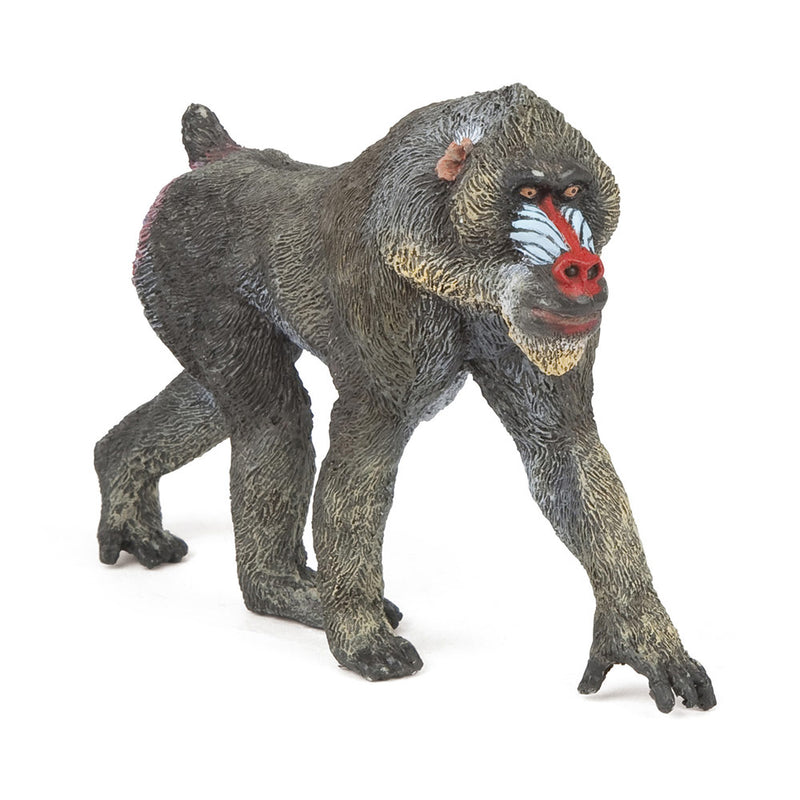 PAPO Wild Animal Kingdom Mandrill Toy Figure, Multi-colour (50121)