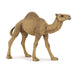 PAPO Wild Animal Kingdom Dromedary Toy Figure, Brown (50151)