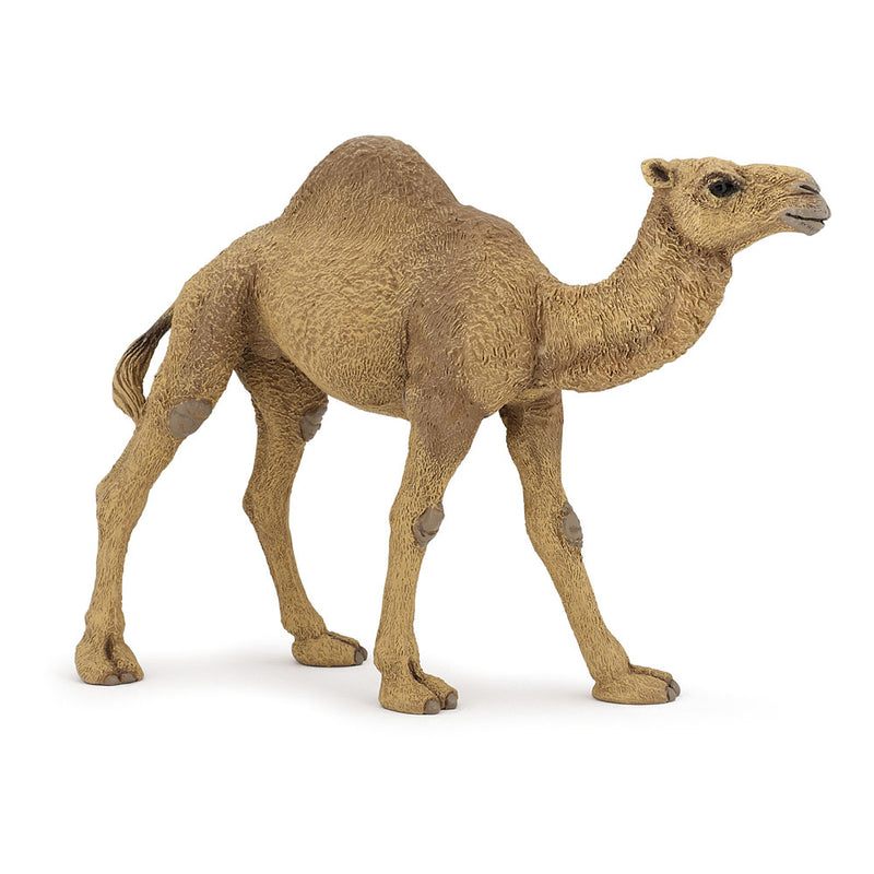 PAPO Wild Animal Kingdom Dromedary Toy Figure, Brown (50151)