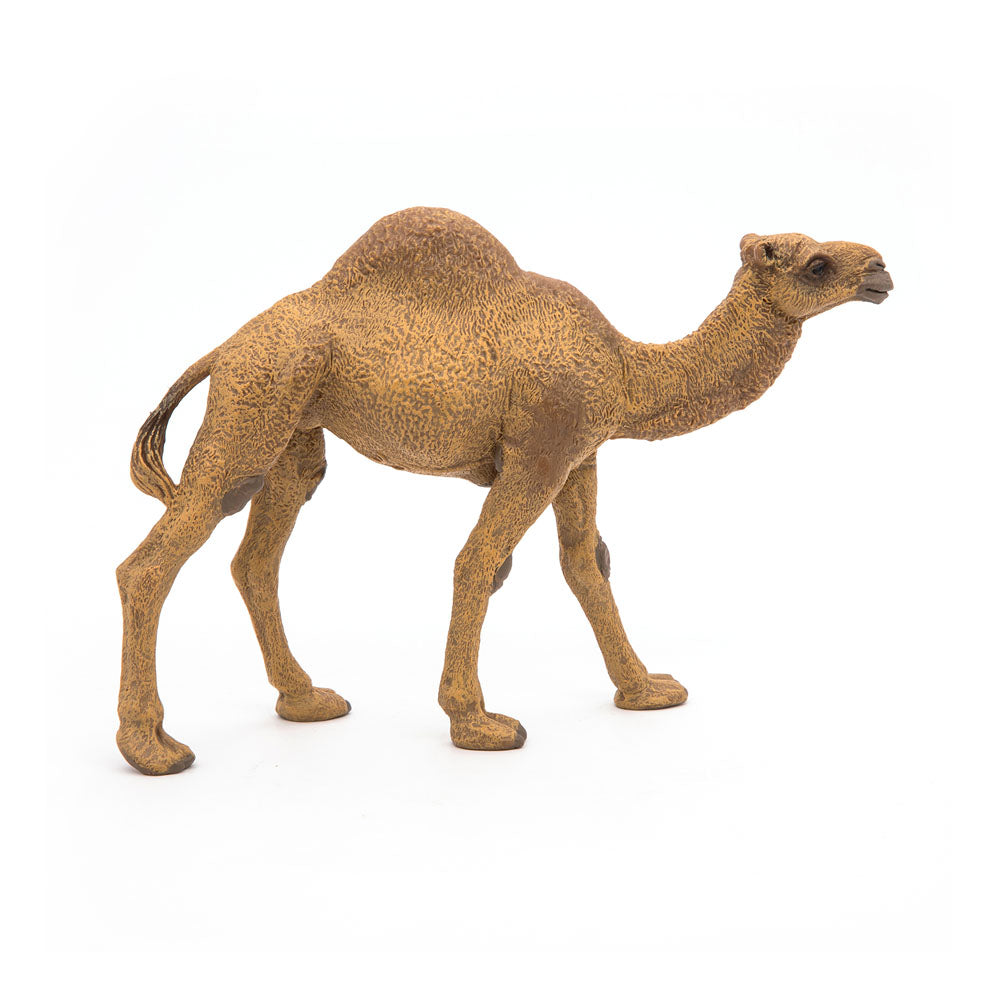 PAPO Wild Animal Kingdom Dromedary Toy Figure, Brown (50151)