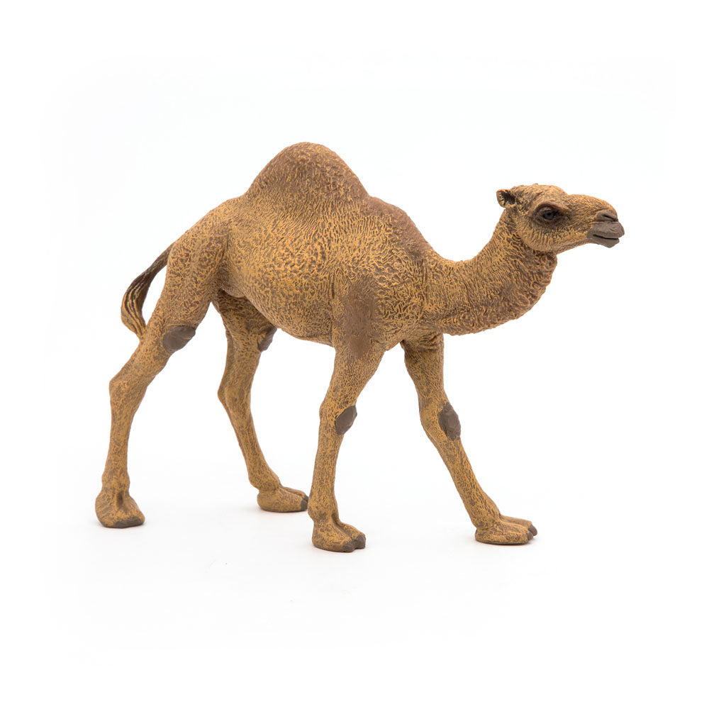 PAPO Wild Animal Kingdom Dromedary Toy Figure, Brown (50151)