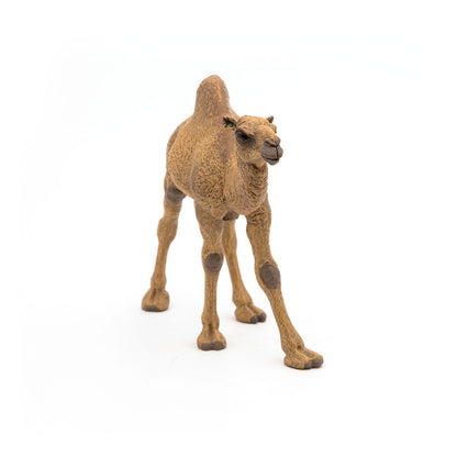 PAPO Wild Animal Kingdom Dromedary Toy Figure, Brown (50151)