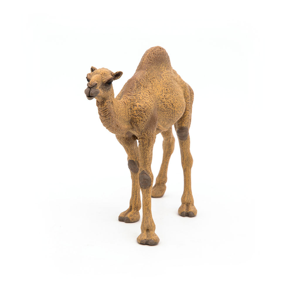 PAPO Wild Animal Kingdom Dromedary Toy Figure, Brown (50151)