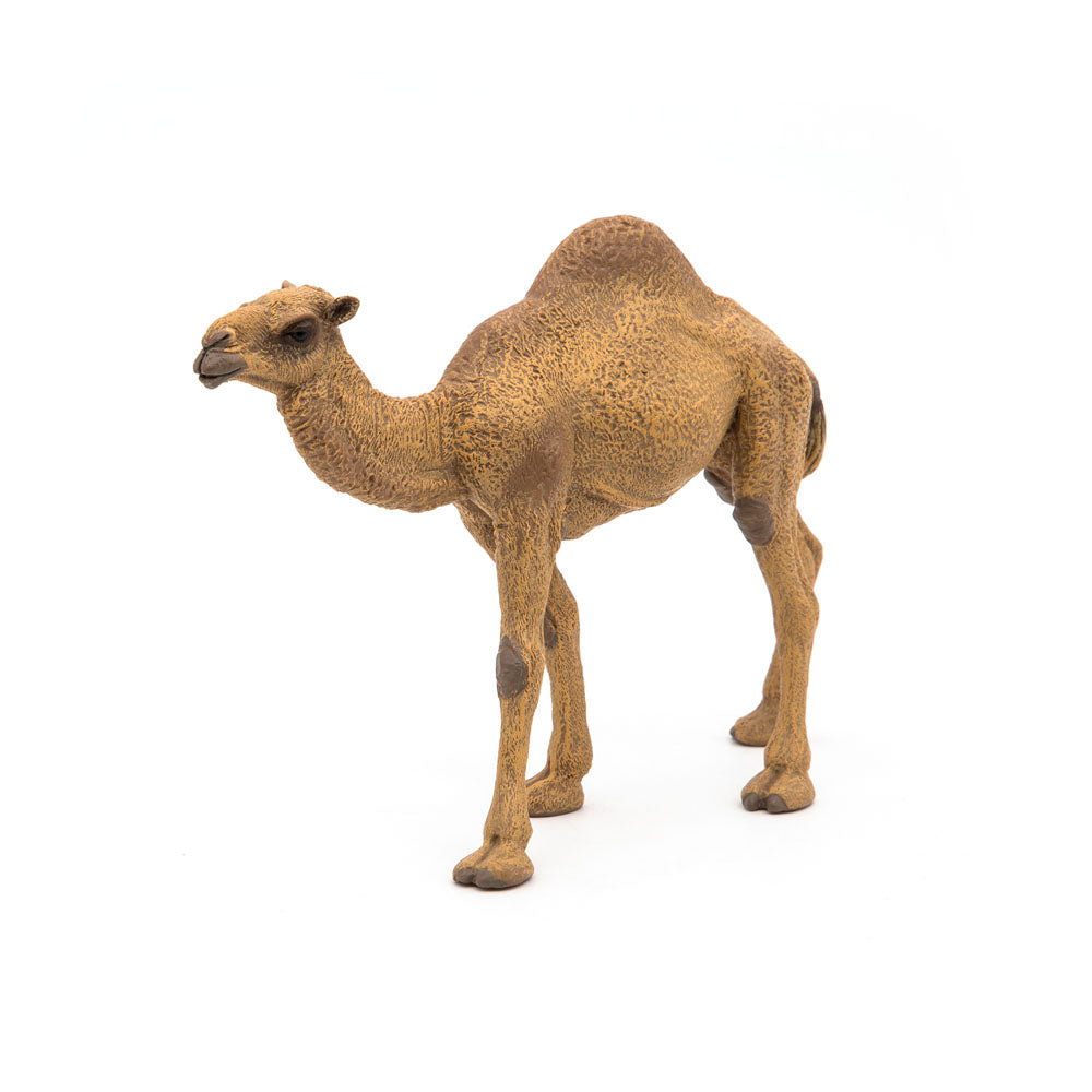 PAPO Wild Animal Kingdom Dromedary Toy Figure, Brown (50151)