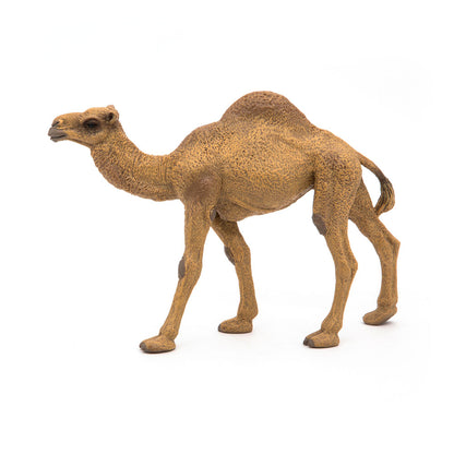 PAPO Wild Animal Kingdom Dromedary Toy Figure, Brown (50151)