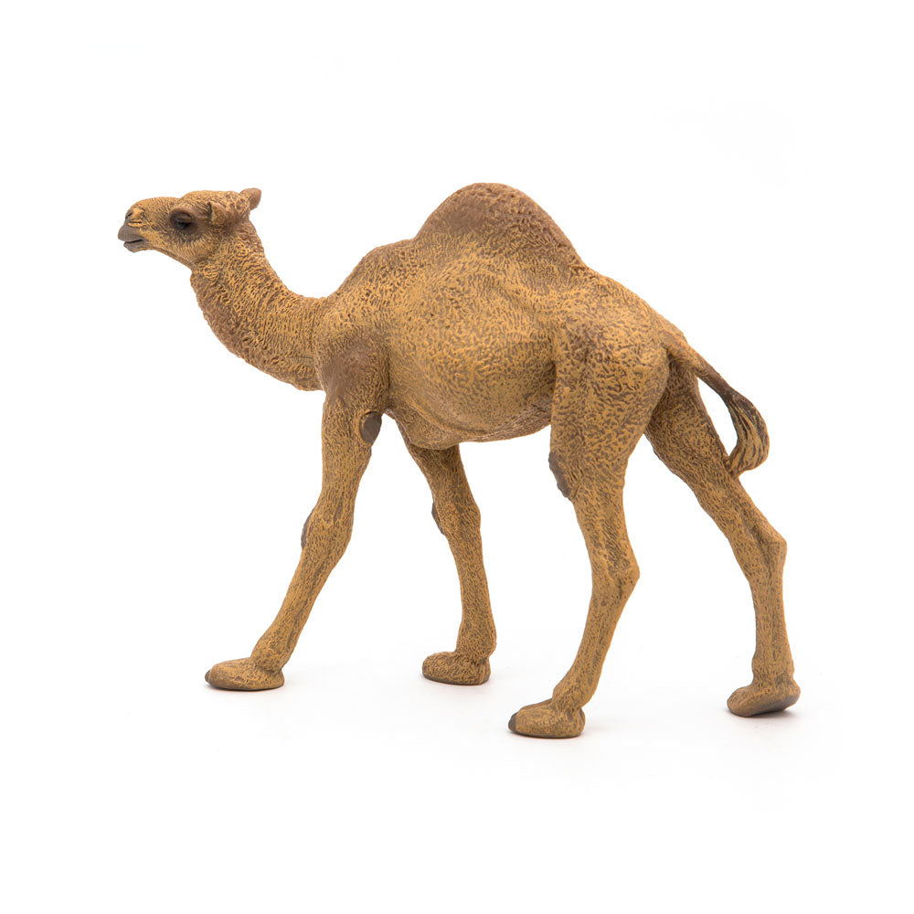 PAPO Wild Animal Kingdom Dromedary Toy Figure, Brown (50151)