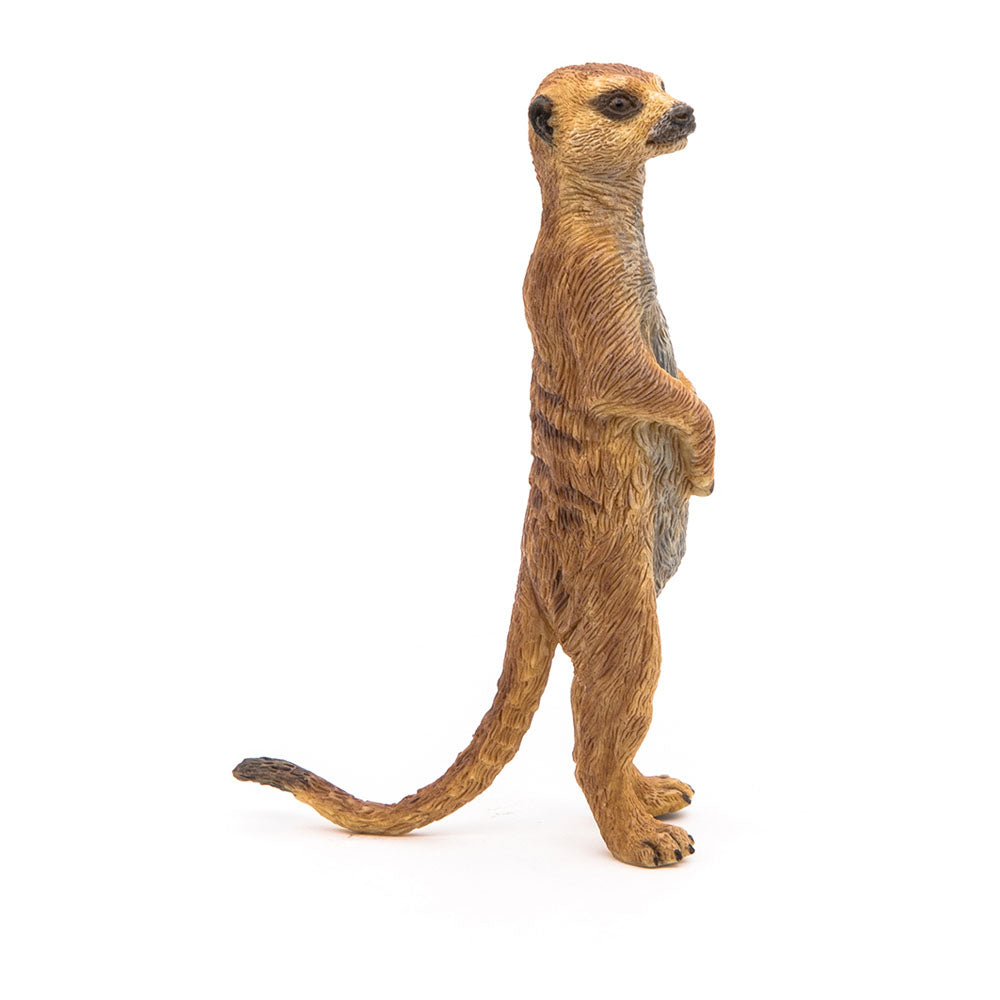 PAPO Wild Animal Kingdom Standing Meerkat Toy Figure, Brown (50206)