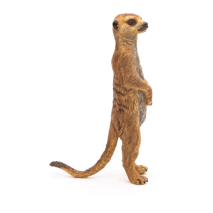 PAPO Wild Animal Kingdom Standing Meerkat Toy Figure, Brown (50206)