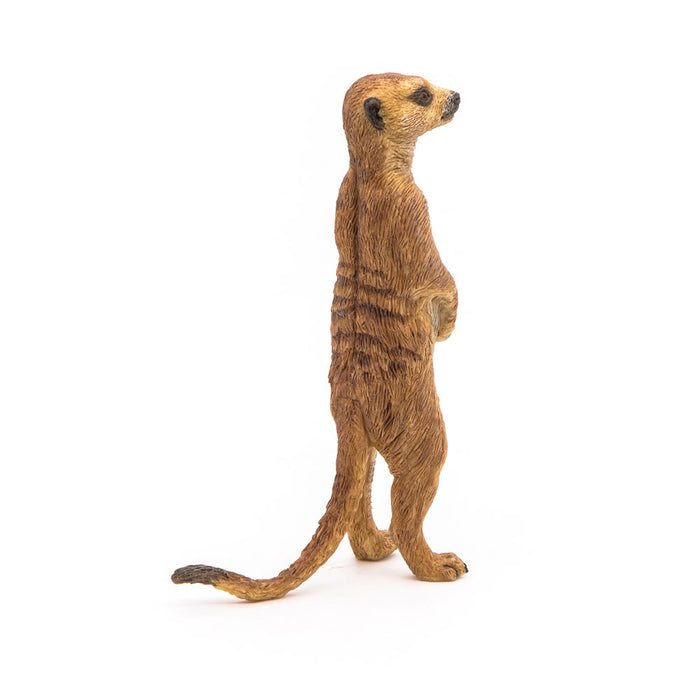 PAPO Wild Animal Kingdom Standing Meerkat Toy Figure, Brown (50206)