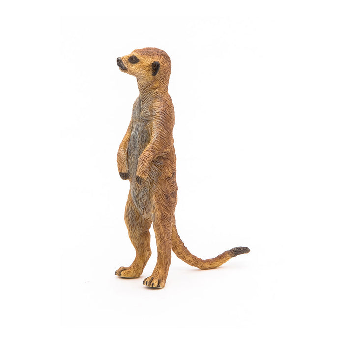 PAPO Wild Animal Kingdom Standing Meerkat Toy Figure, Brown (50206)