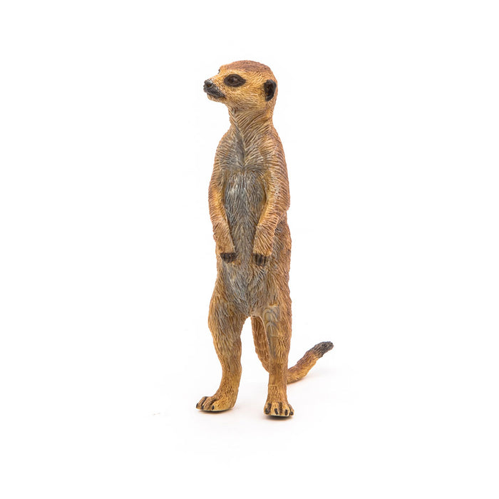 PAPO Wild Animal Kingdom Standing Meerkat Toy Figure, Brown (50206)
