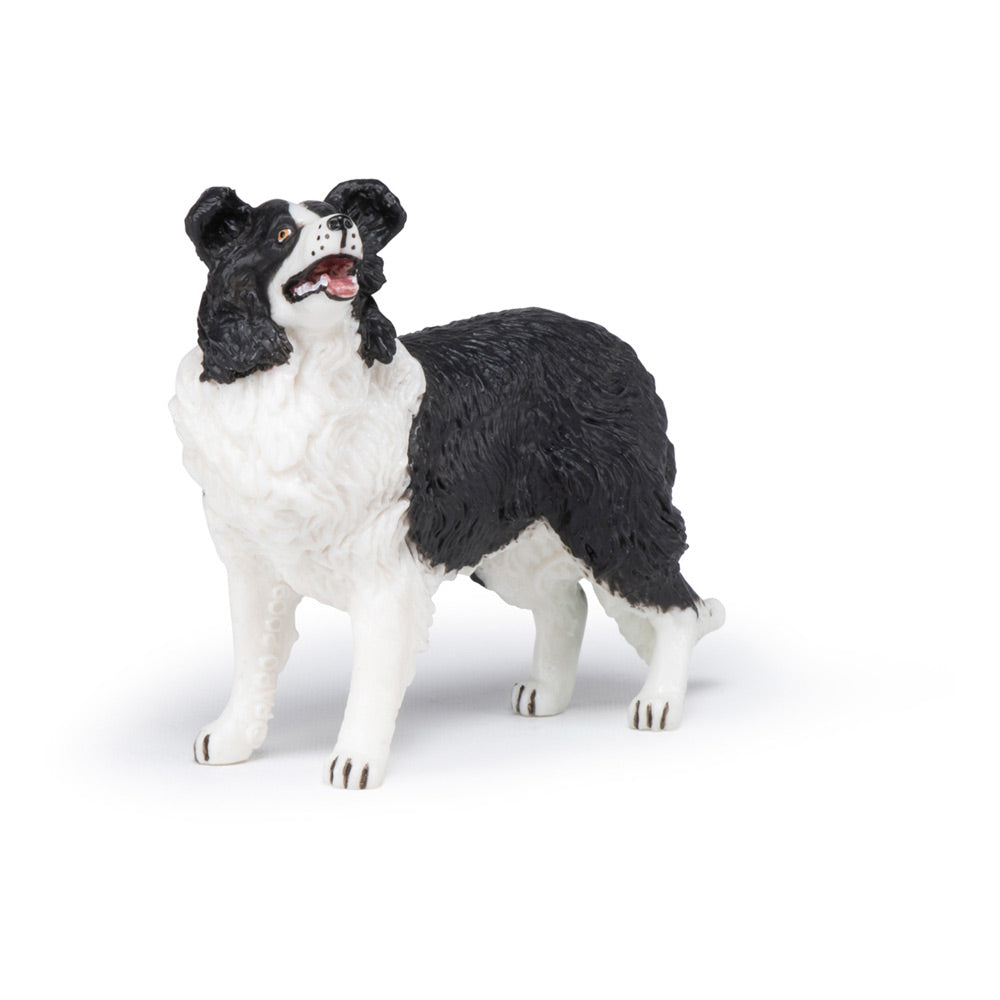 PAPO Dog and Cat Companions Border Collie Toy Figure, Black/White (54008)
