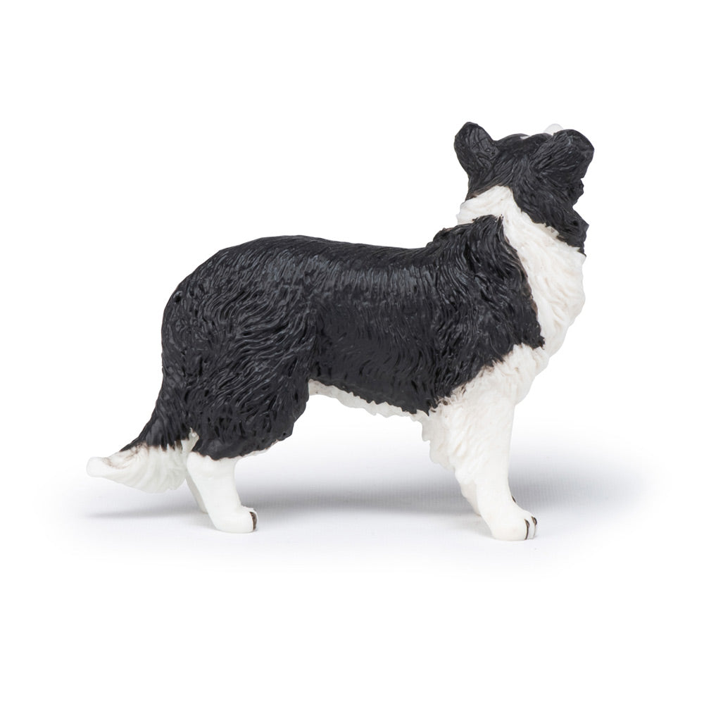 PAPO Dog and Cat Companions Border Collie Toy Figure, Black/White (54008)