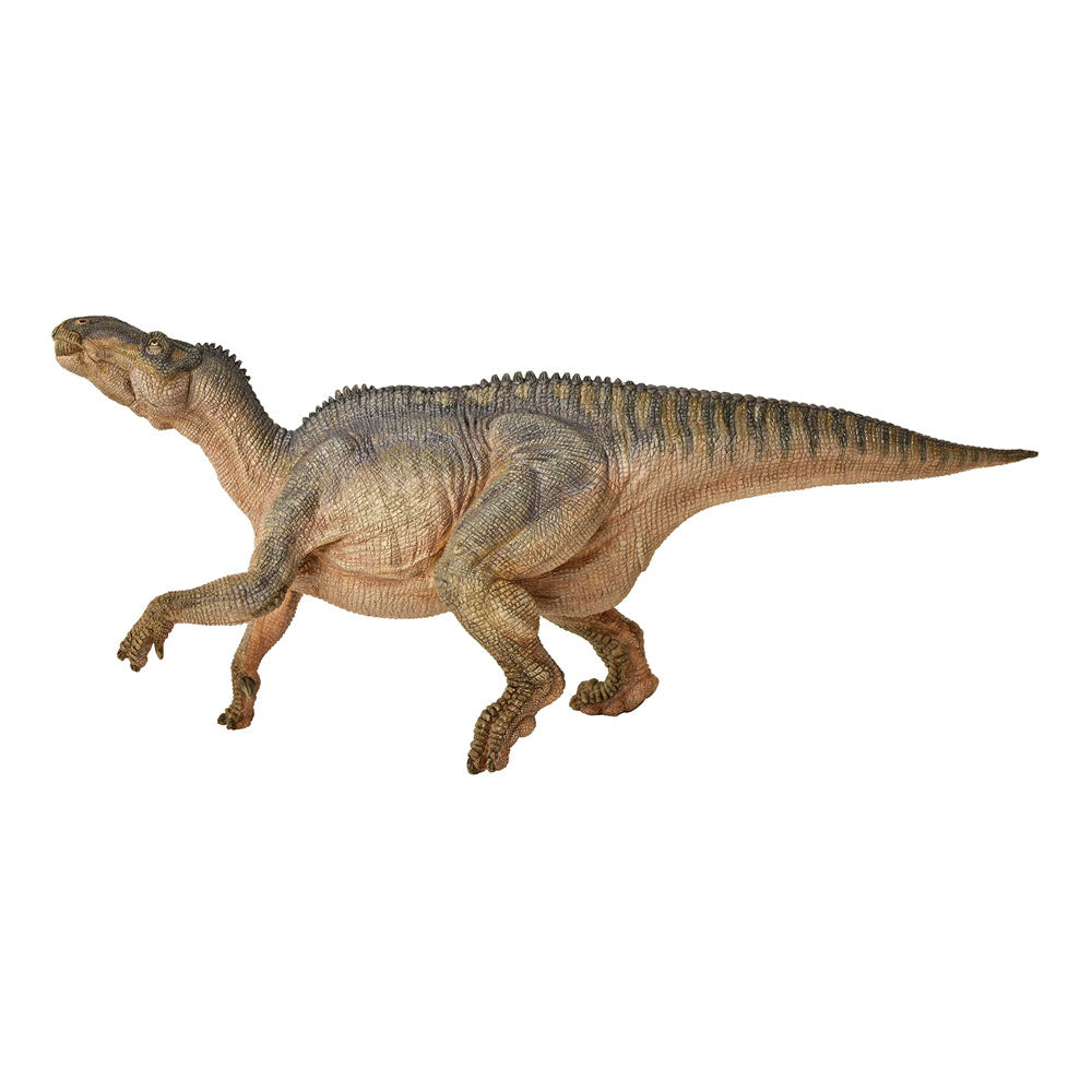 PAPO Dinosaurs Iguanodon Toy Figure, Multi-colour (55071)